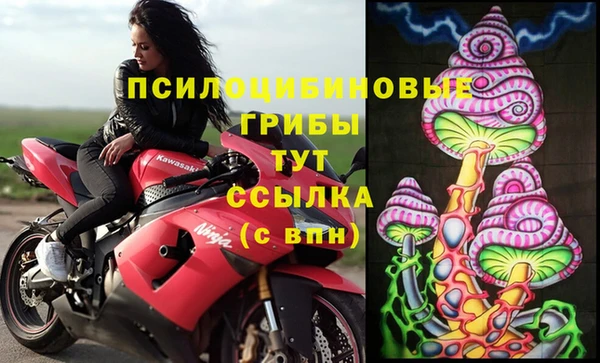 крисы Белокуриха