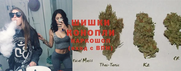 крисы Белокуриха