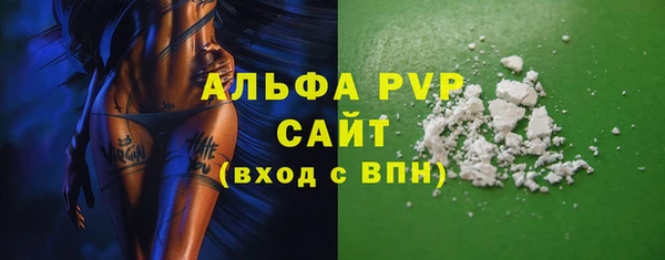 крисы Белокуриха