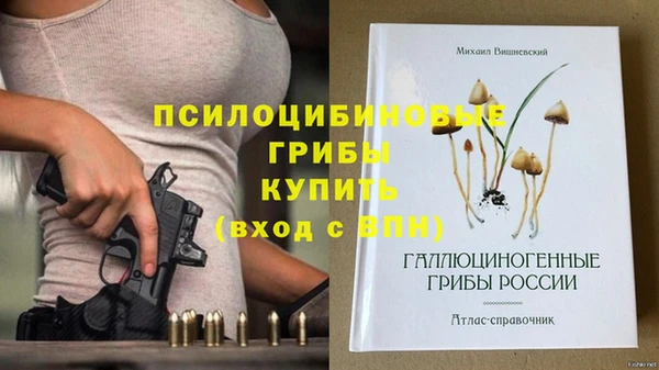 крисы Белокуриха