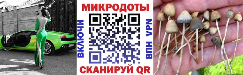 сколько стоит  Железноводск  Галлюциногенные грибы Psilocybine cubensis 